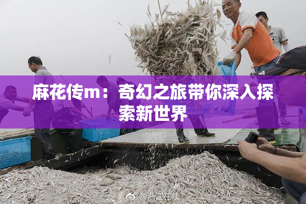麻花传m：奇幻之旅带你深入探索新世界