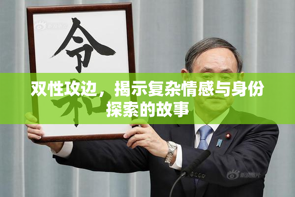 双性攻边，揭示复杂情感与身份探索的故事
