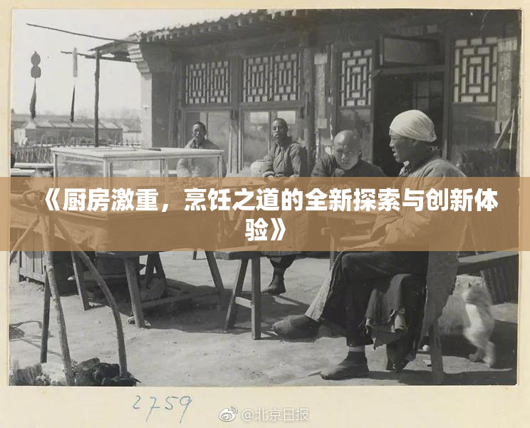 《厨房激重，烹饪之道的全新探索与创新体验》