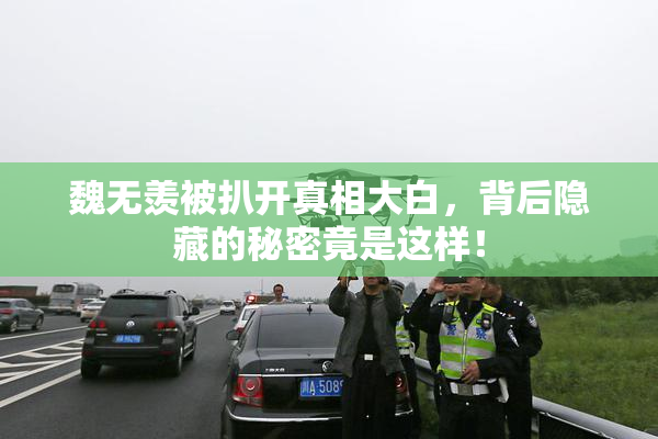 魏无羡被扒开真相大白，背后隐藏的秘密竟是这样！