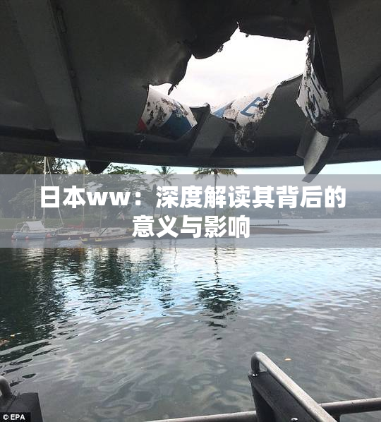 日本ww：深度解读其背后的意义与影响