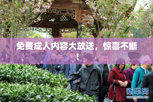 免费成人内容大放送，惊喜不断！