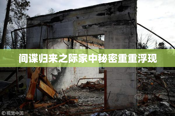 间谍归来之际家中秘密重重浮现