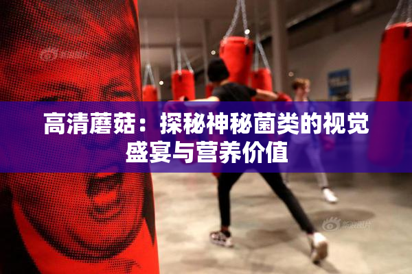高清蘑菇：探秘神秘菌类的视觉盛宴与营养价值