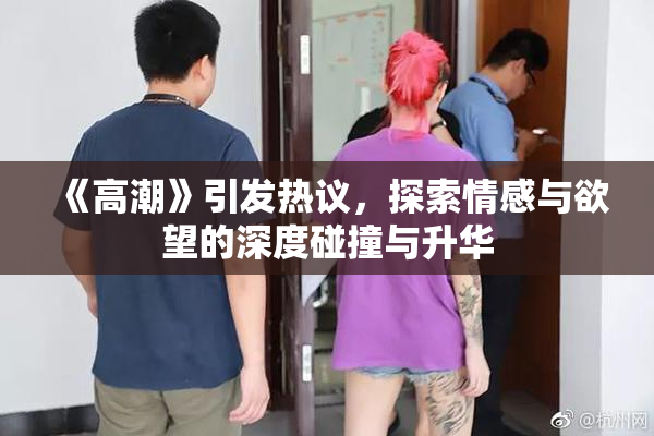 《高潮》引发热议，探索情感与欲望的深度碰撞与升华