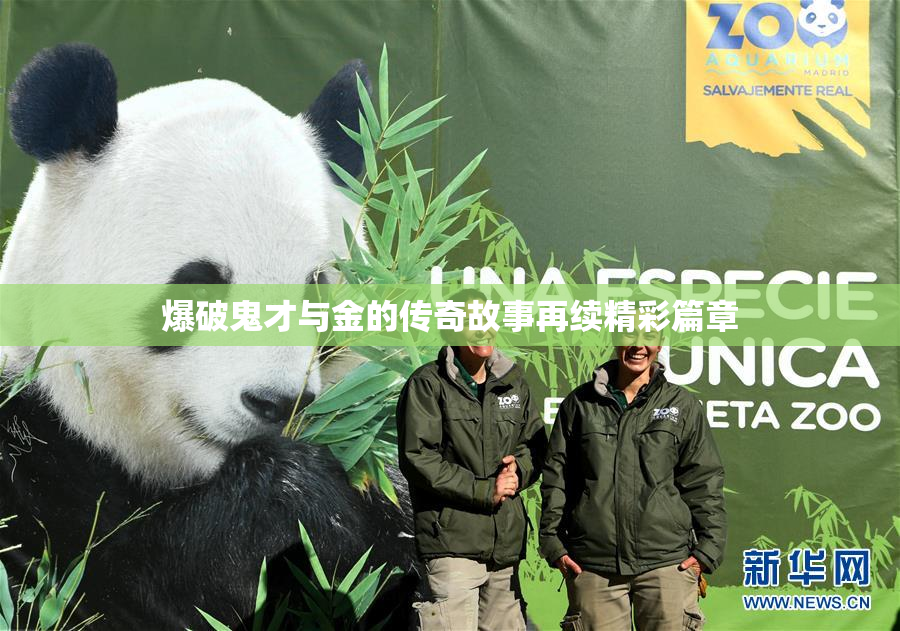 爆破鬼才与金的传奇故事再续精彩篇章