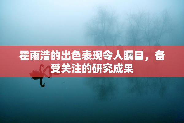 霍雨浩的出色表现令人瞩目，备受关注的研究成果