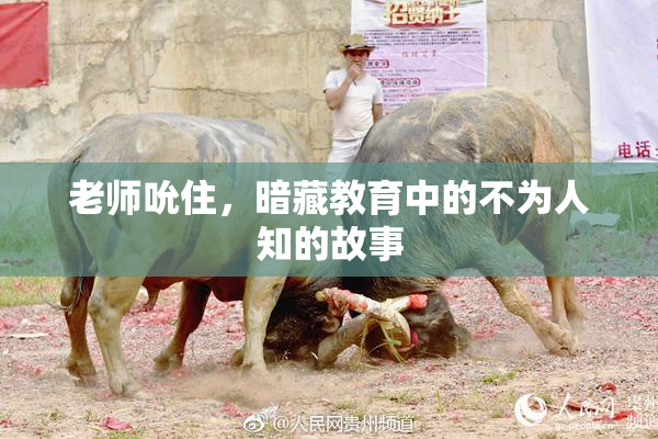 老师吮住，暗藏教育中的不为人知的故事