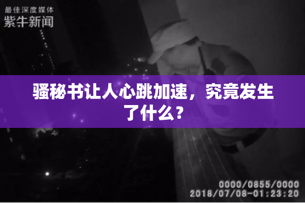 骚秘书让人心跳加速，究竟发生了什么？