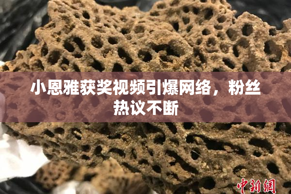 小恩雅获奖视频引爆网络，粉丝热议不断