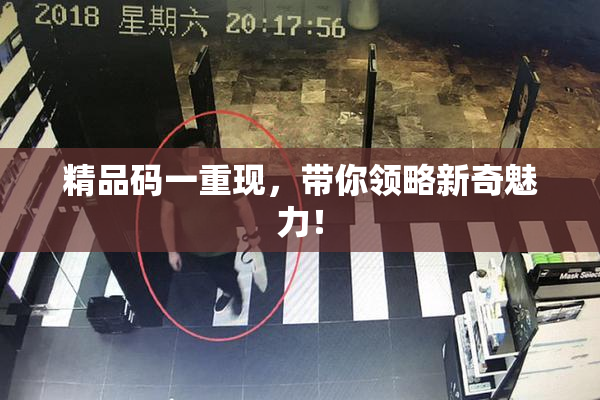 精品码一重现，带你领略新奇魅力！