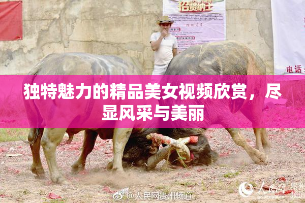 独特魅力的精品美女视频欣赏，尽显风采与美丽