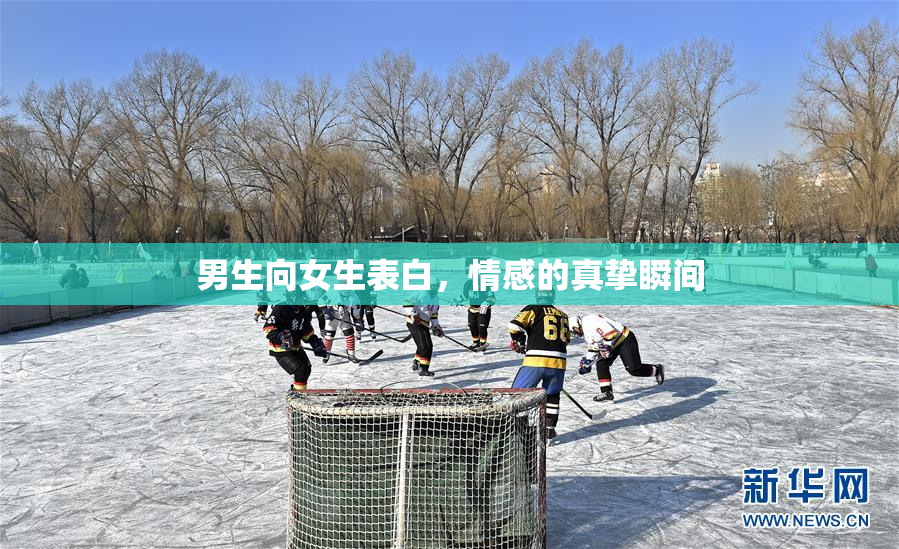 男生向女生表白，情感的真挚瞬间