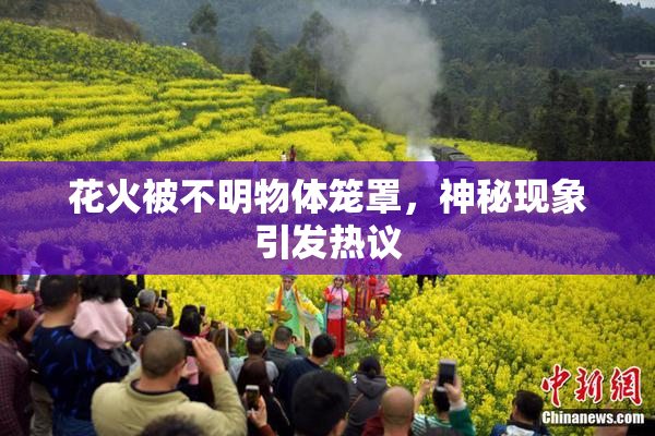 花火被不明物体笼罩，神秘现象引发热议