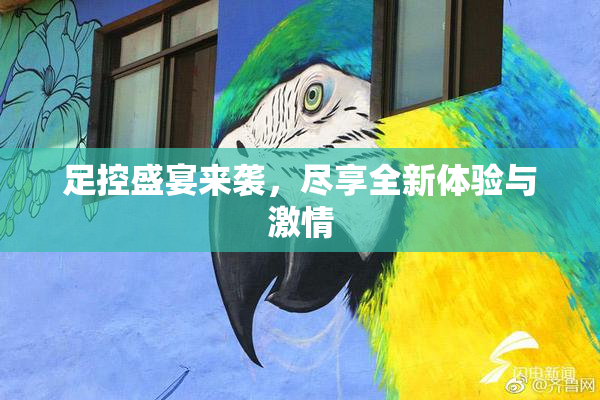 足控盛宴来袭，尽享全新体验与激情