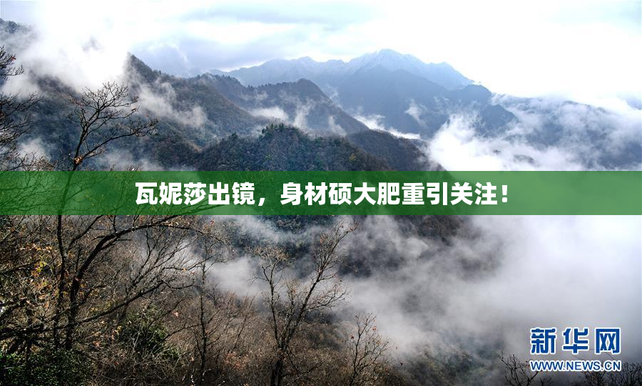 瓦妮莎出镜，身材硕大肥重引关注！