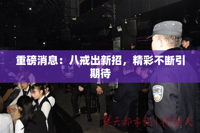 重磅消息：八戒出新招，精彩不断引期待