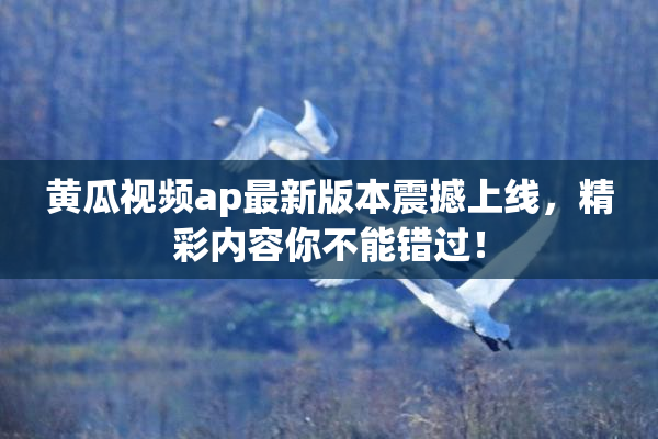 黄瓜视频ap最新版本震撼上线，精彩内容你不能错过！