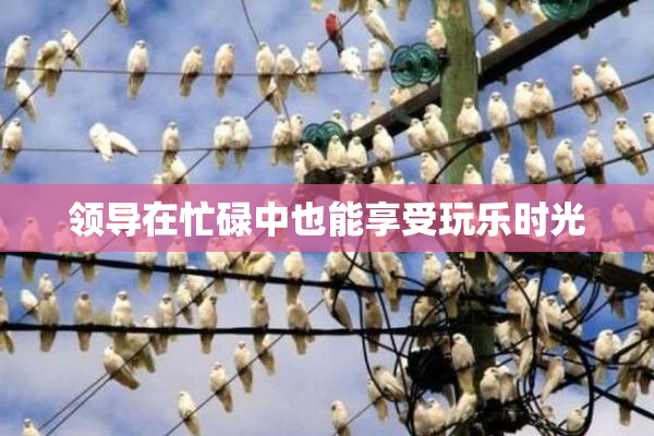 领导在忙碌中也能享受玩乐时光