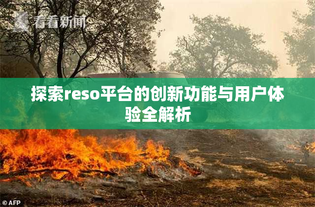 探索reso平台的创新功能与用户体验全解析