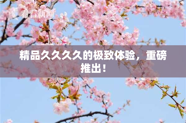 精品久久久久的极致体验，重磅推出！