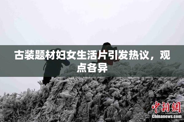 古装题材妇女生活片引发热议，观点各异