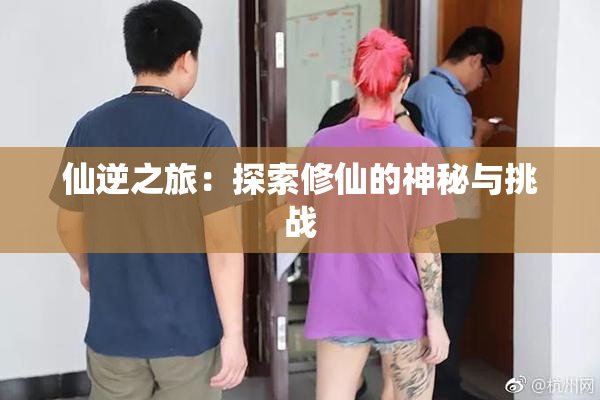 仙逆之旅：探索修仙的神秘与挑战