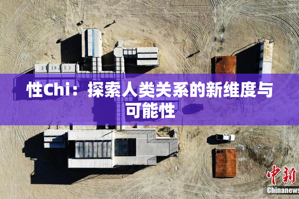 性Chi：探索人类关系的新维度与可能性