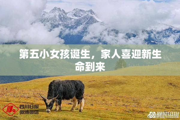 第五小女孩诞生，家人喜迎新生命到来