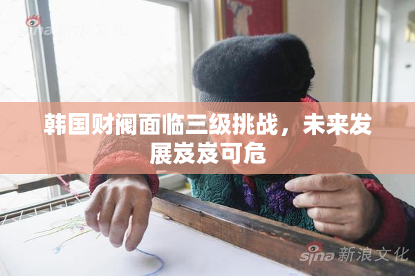 韩国财阀面临三级挑战，未来发展岌岌可危