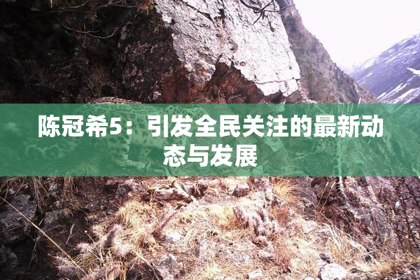 陈冠希5：引发全民关注的最新动态与发展