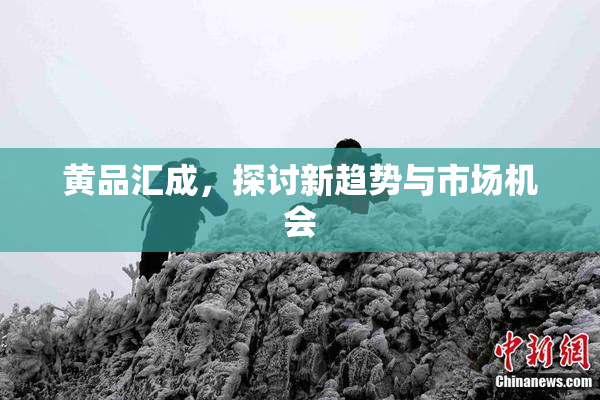 黄品汇成，探讨新趋势与市场机会