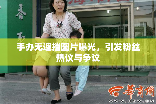 手办无遮挡图片曝光，引发粉丝热议与争议