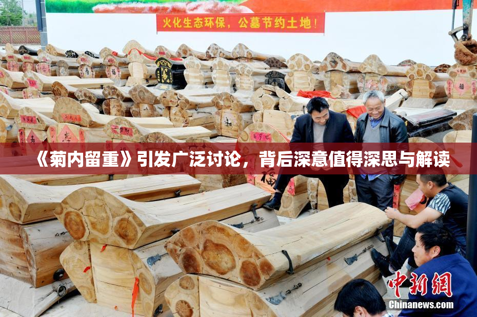 《菊内留重》引发广泛讨论，背后深意值得深思与解读