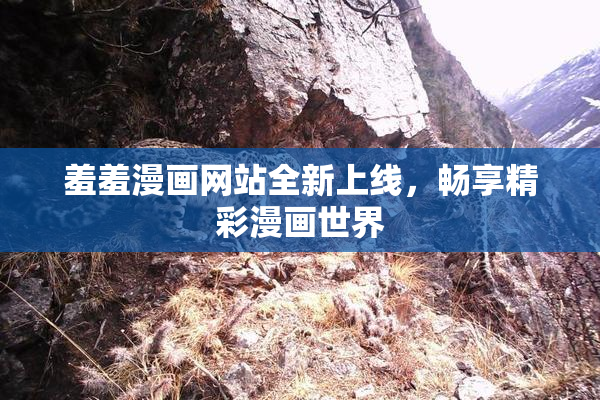 羞羞漫画网站全新上线，畅享精彩漫画世界