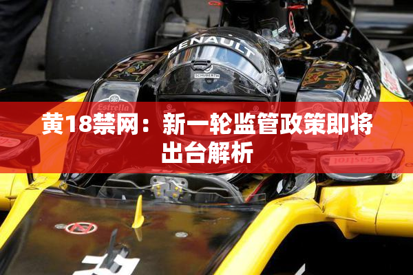 黄18禁网：新一轮监管政策即将出台解析