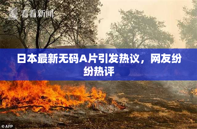 日本最新无码A片引发热议，网友纷纷热评