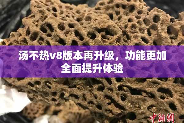 汤不热v8版本再升级，功能更加全面提升体验
