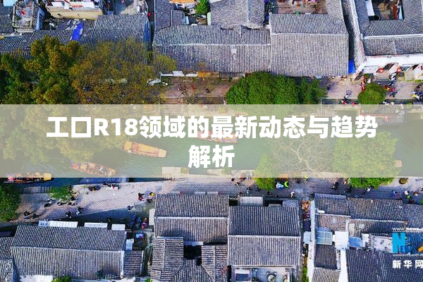 工口R18领域的最新动态与趋势解析