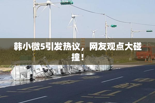 韩小微5引发热议，网友观点大碰撞！