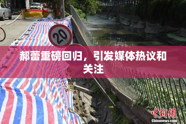 郝蕾重磅回归，引发媒体热议和关注