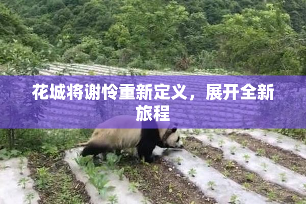 花城将谢怜重新定义，展开全新旅程