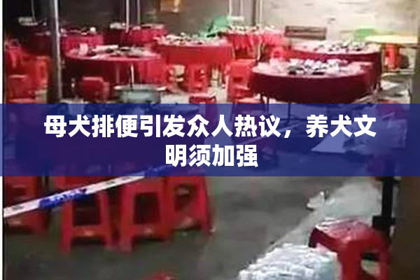 母犬排便引发众人热议，养犬文明须加强