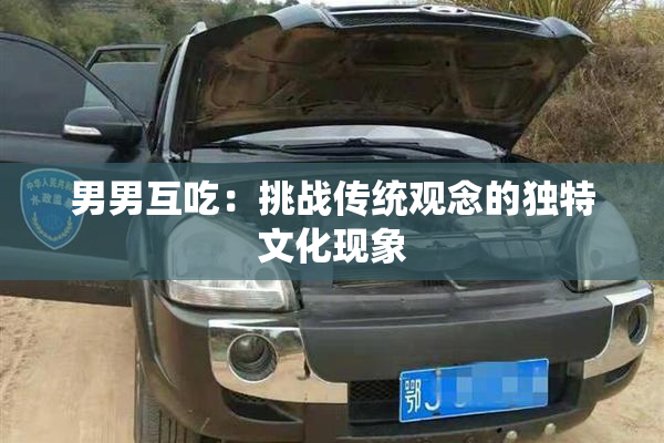 男男互吃：挑战传统观念的独特文化现象