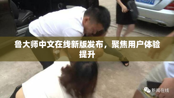 鲁大师中文在线新版发布，聚焦用户体验提升