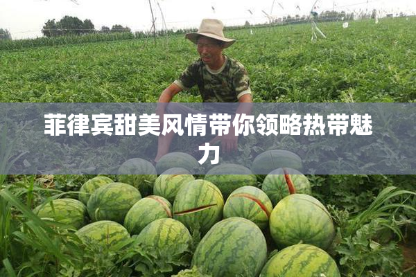 菲律宾甜美风情带你领略热带魅力