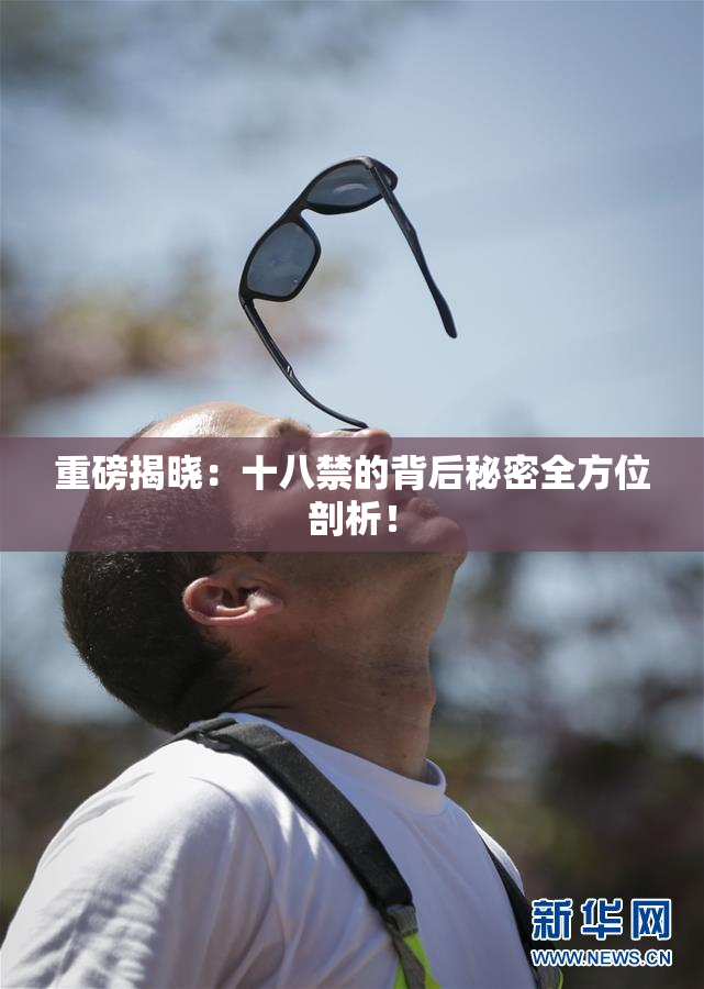 重磅揭晓：十八禁的背后秘密全方位剖析！