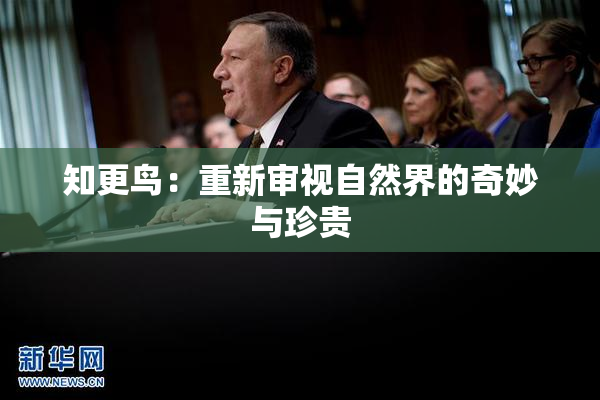 知更鸟：重新审视自然界的奇妙与珍贵