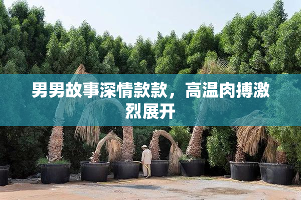 男男故事深情款款，高温肉搏激烈展开