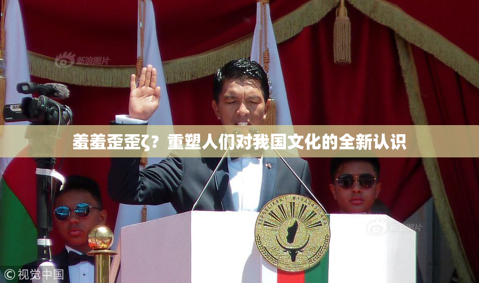 羞羞歪歪ζ？重塑人们对我国文化的全新认识